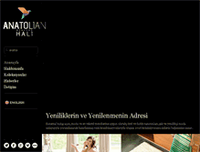 Tablet Screenshot of anatolianweavers.com